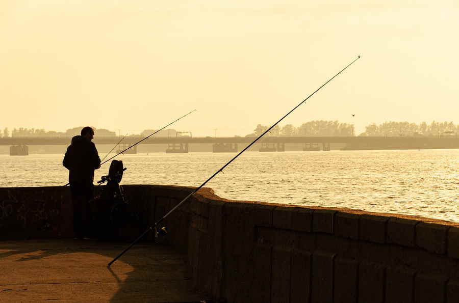 Du betrachtest gerade Spinnfischen mit Gummifischen: Einsatz von Gummiködern für Raubfische