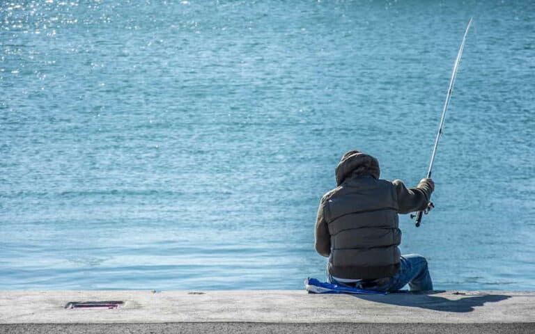 Mehr über den Artikel erfahren Spoonangeln: Verwendung von Spoon-Ködern zur Fischfang