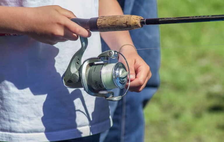 Mehr über den Artikel erfahren Effektives Feederfischen: Tipps und Tricks