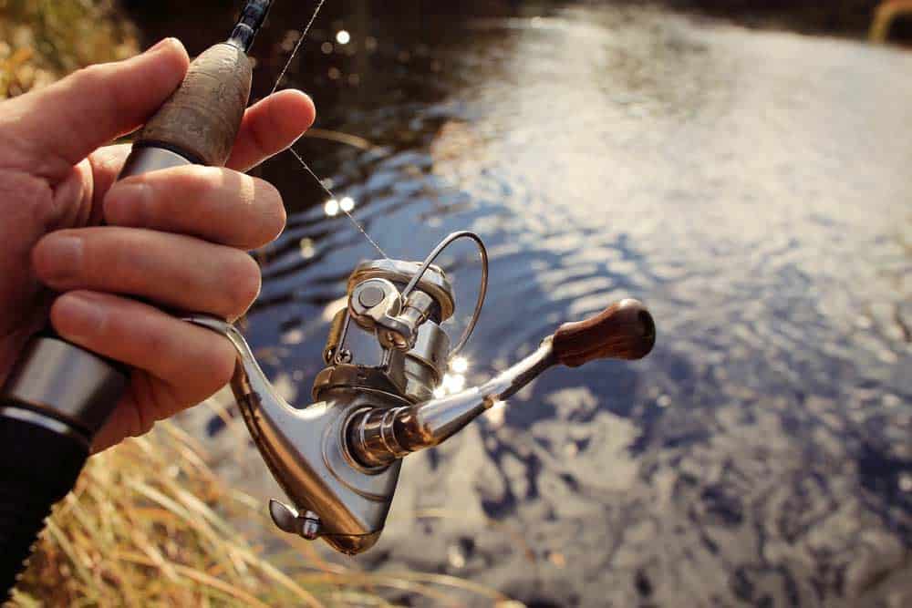 Du betrachtest gerade Welche Rolle zum Spoon angeln?