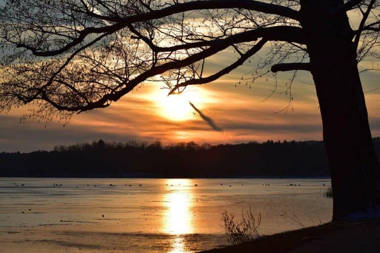 Mehr über den Artikel erfahren Angeln am Scharmützelsee
